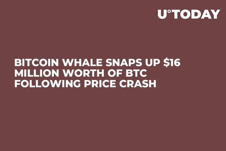 Bitcoin Whale Snaps Up $16 Million Worth of BTC Following Price Crash