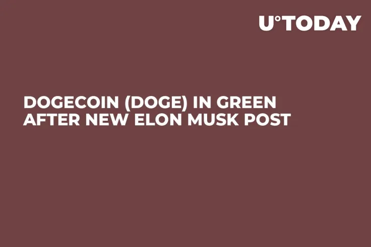 Dogecoin (DOGE) in Green After New Elon Musk Post 
