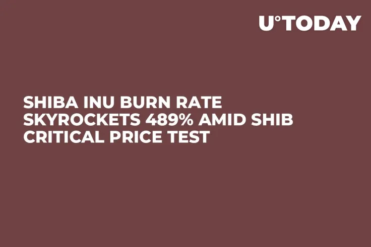 Shiba Inu Burn Rate Skyrockets 489% Amid SHIB Critical Price Test