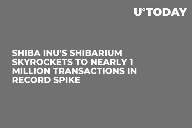 Shiba Inu's Shibarium Skyrockets to Nearly 1 Million Transactions in Record Spike