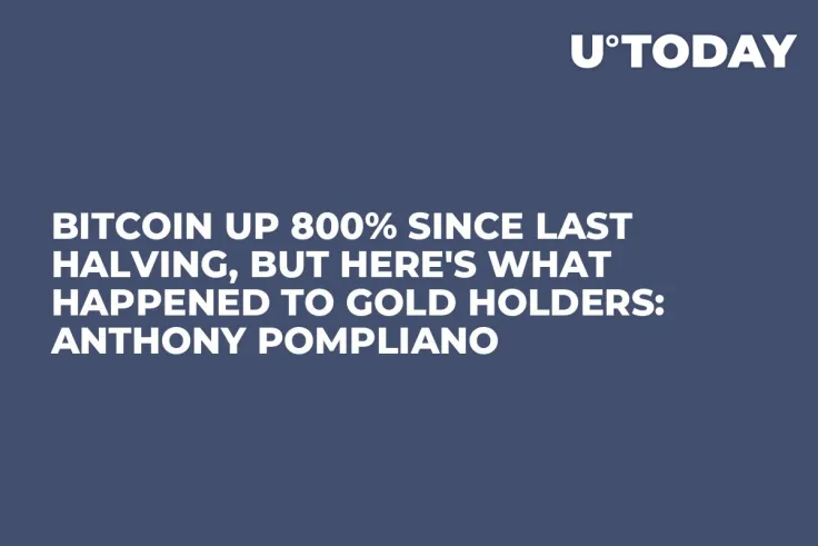Bitcoin up 800% Since Last Halving, But Here's What Happened to Gold Holders: Anthony Pompliano