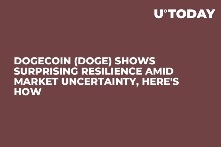 Dogecoin (DOGE) Shows Surprising Resilience Amid Market Uncertainty, Here's How