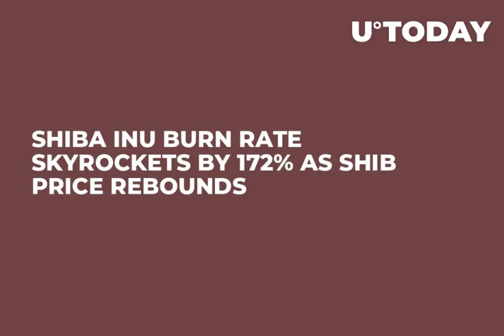 Shiba Inu Burn Rate Skyrockets by 172% as SHIB Price Rebounds