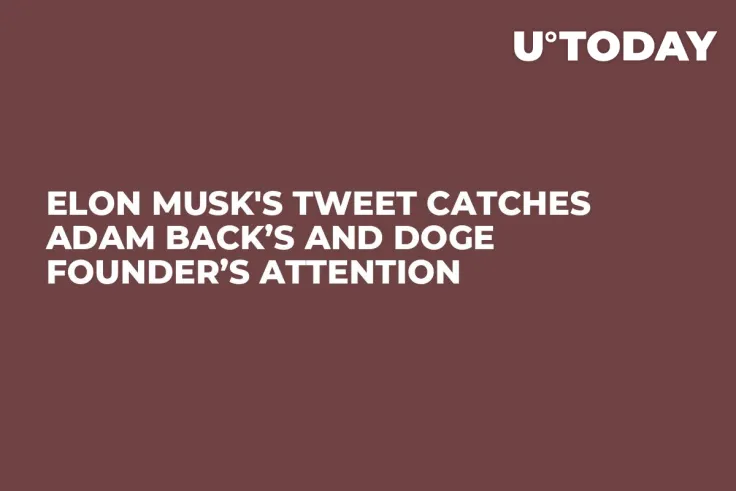 Elon Musk's Tweet Catches Adam Back’s and DOGE Founder’s Attention 