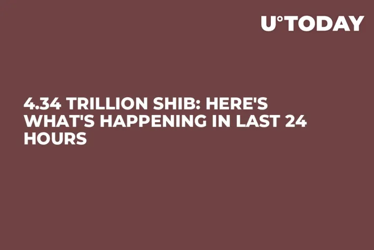4.34 Trillion SHIB: Here's What's Happening in Last 24 Hours