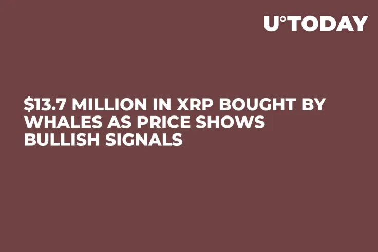 $13.7 Million in XRP Bought by Whales as Price Shows Bullish Signals