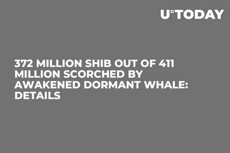 372 Million SHIB Out of 411 Million Scorched by Awakened Dormant Whale: Details