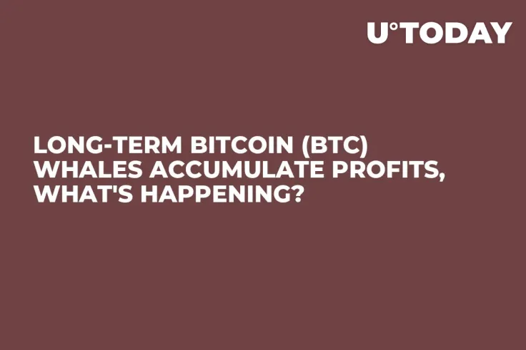Long-Term Bitcoin (BTC) Whales Accumulate Profits, What's Happening?