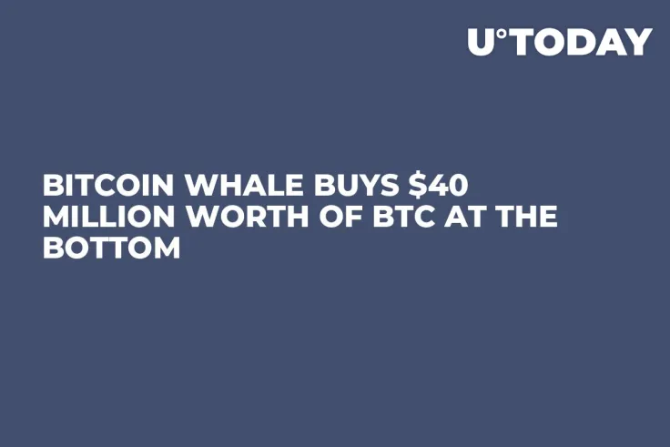 Bitcoin Whale Buys $40 Million Worth of BTC at the Bottom  