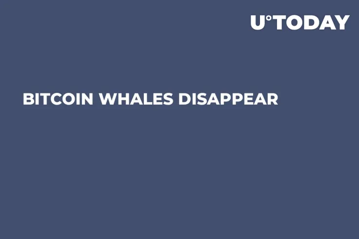 Bitcoin Whales Disappear