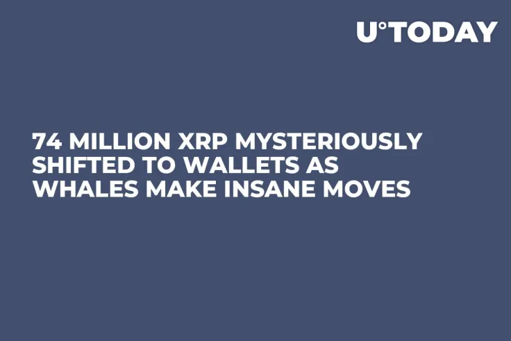 74 Million XRP Mysteriously Shifted to Wallets as Whales Make Insane Moves