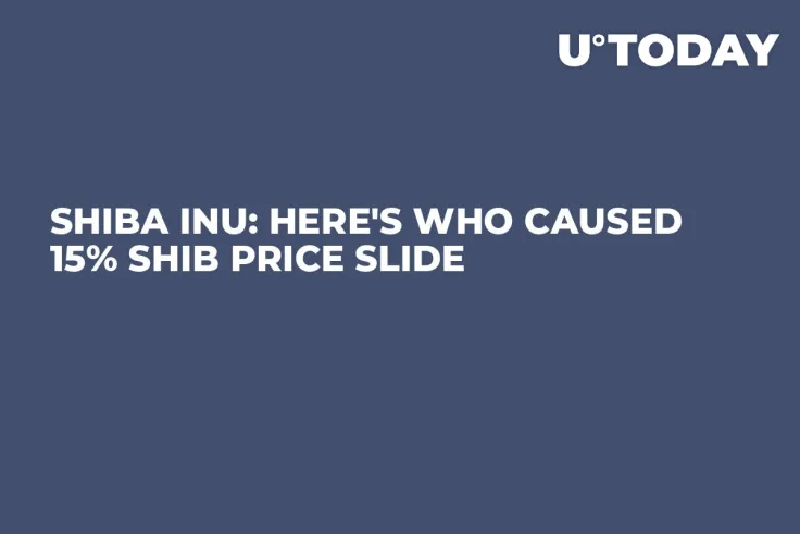 Shiba Inu: Here's Who Caused 15% SHIB Price Slide