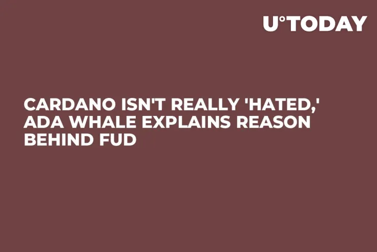 Cardano Isn't Really 'Hated,' ADA Whale Explains Reason Behind FUD