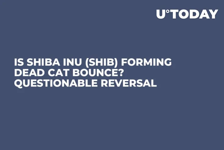 Is Shiba Inu (SHIB) Forming Dead Cat Bounce? Questionable Reversal