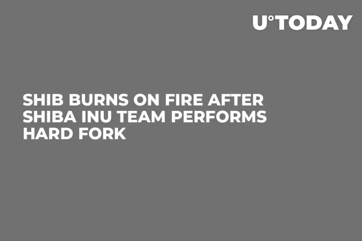 SHIB Burns on Fire After Shiba Inu Team Performs Hard Fork