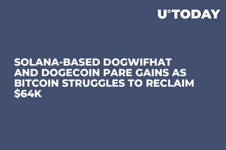 Solana-Based Dogwifhat and Dogecoin Pare Gains as Bitcoin Struggles to Reclaim $64K