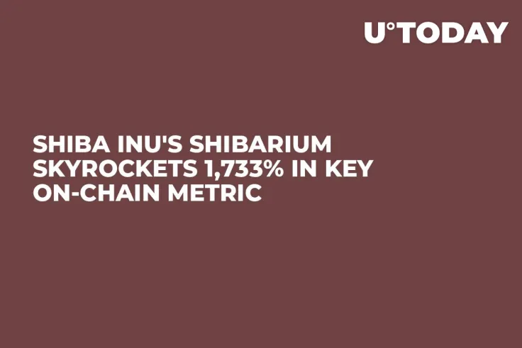 Shiba Inu's Shibarium Skyrockets 1,733% in Key On-Chain Metric