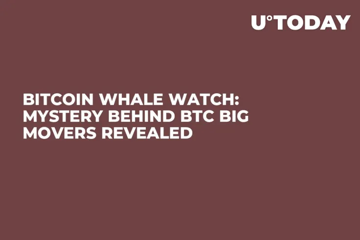 Bitcoin Whale Watch: Mystery Behind BTC Big Movers Revealed