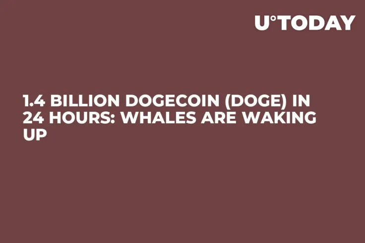 1.4 Billion Dogecoin (DOGE) in 24 Hours: Whales Are Waking Up 