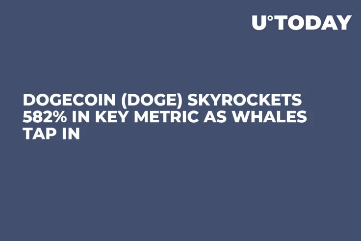 Dogecoin (DOGE) Skyrockets 582% in Key Metric as Whales Tap In
