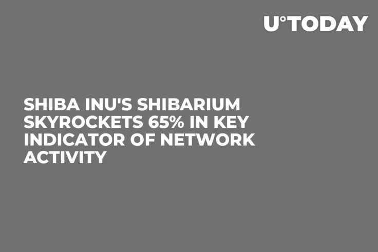 Shiba Inu's Shibarium Skyrockets 65% in Key Indicator of Network Activity