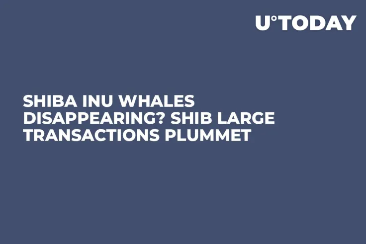 Shiba Inu Whales Disappearing? SHIB Large Transactions Plummet