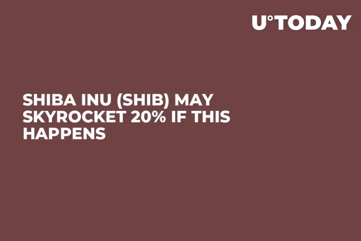 Shiba Inu (SHIB) May Skyrocket 20% If This Happens