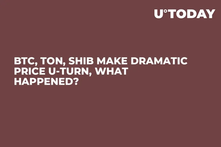 BTC, TON, SHIB Make Dramatic Price U-Turn, What Happened?