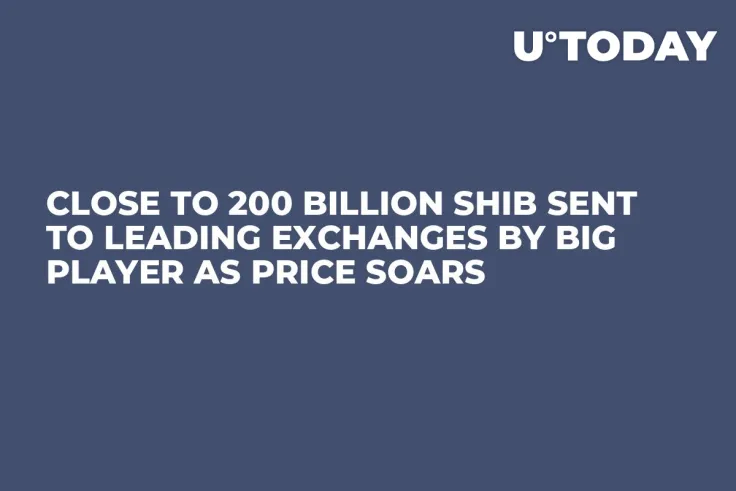 Close to 200 Billion SHIB Sent to Leading Exchanges by Big Player as Price Soars