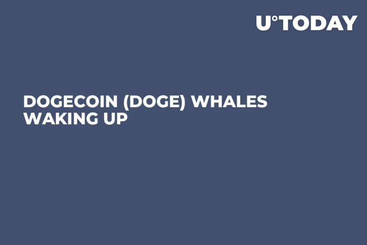 Dogecoin (DOGE) Whales Waking Up