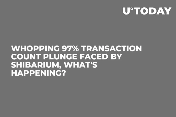 Whopping 97% Transaction Count Plunge Faced by Shibarium, What's Happening?