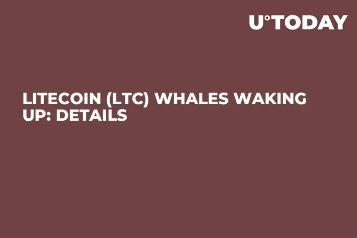 Litecoin (LTC) Whales Waking Up: Details