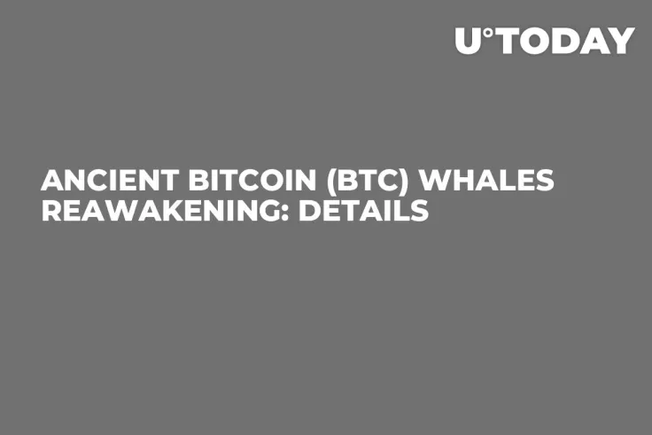 Ancient Bitcoin (BTC) Whales Reawakening: Details