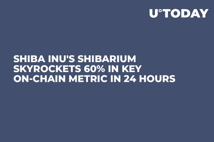 Shiba Inu's Shibarium Skyrockets 60% in Key On-Chain Metric in 24 Hours