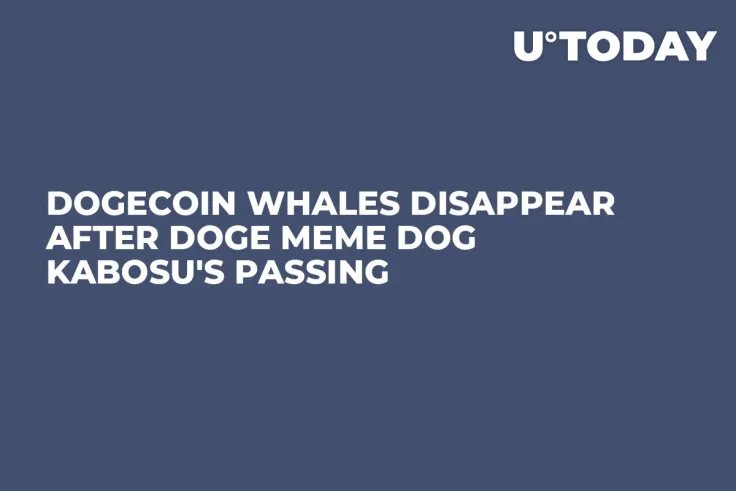 Dogecoin Whales Disappear After DOGE Meme Dog Kabosu's Passing