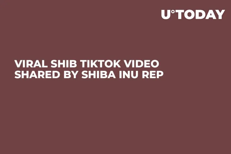 Viral SHIB TikTok Video Shared by Shiba Inu Rep