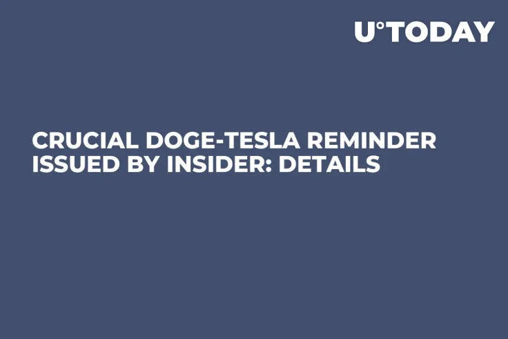 Crucial DOGE-Tesla Reminder Issued by Insider: Details