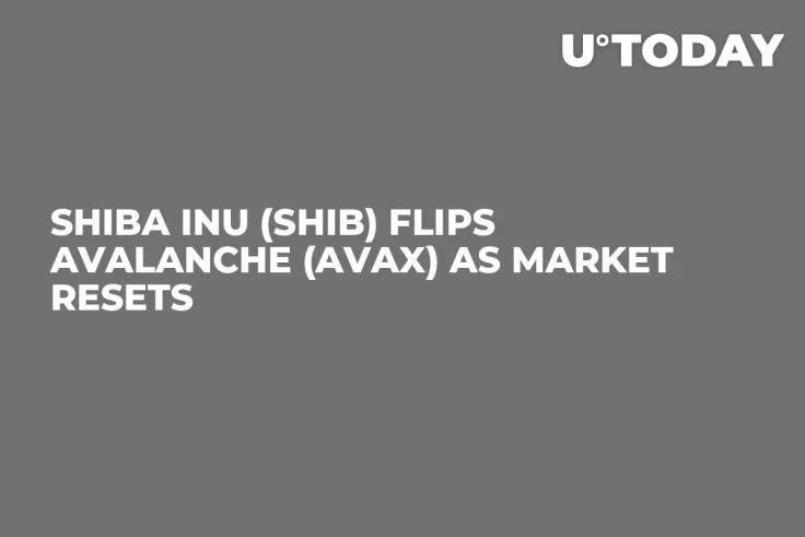 Shiba Inu (SHIB) Flips Avalanche (AVAX) as Market Resets