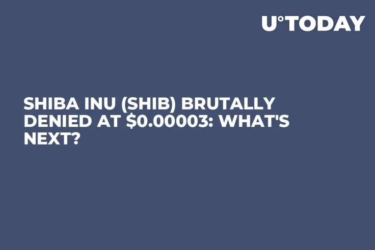 Shiba Inu (SHIB) Brutally Denied at $0.00003: What's Next? 