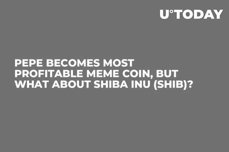 PEPE Becomes Most Profitable Meme Coin, But What About Shiba Inu (SHIB)?