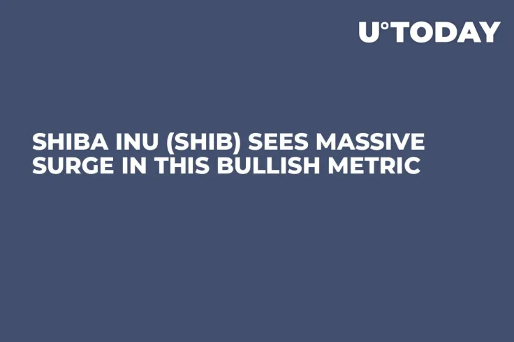 Shiba Inu (SHIB) Sees Massive Surge in This Bullish Metric