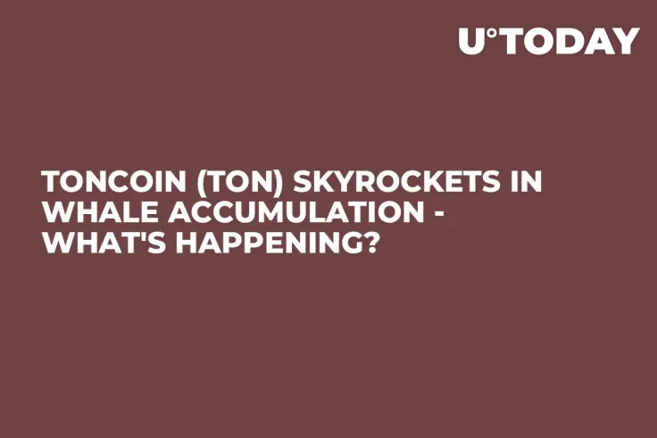 Toncoin (TON) Skyrockets in Whale Accumulation - What's Happening?