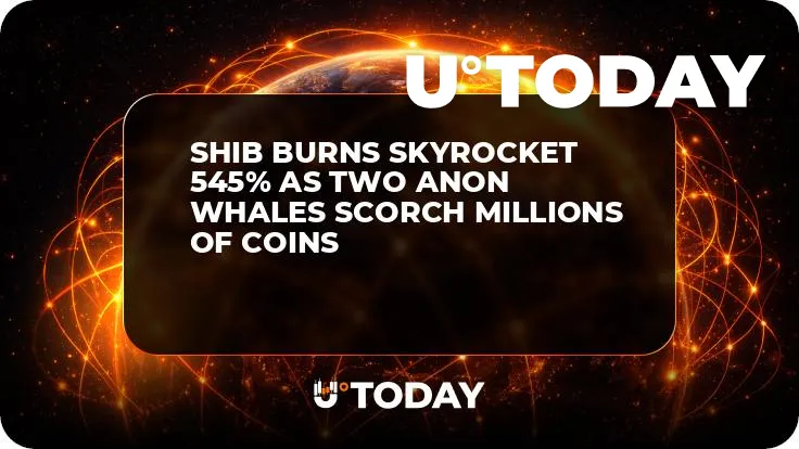 SHIB Burns Skyrocket 545% As Two Anon Whales Scorch Millions of Coins