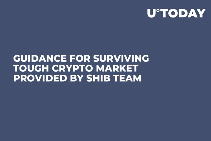 Guidance for Surviving Tough Crypto Market Provided by SHIB Team