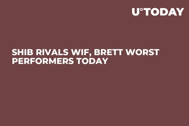 SHIB Rivals WIF, BRETT Worst Performers Today