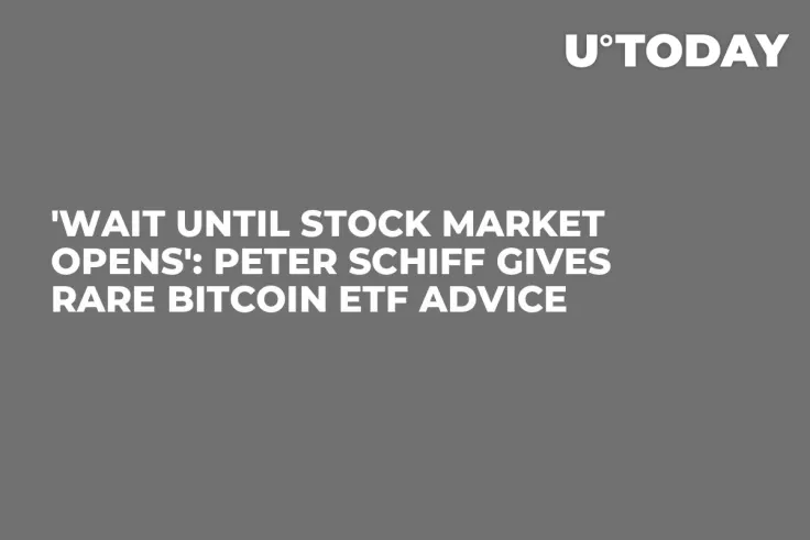 'Wait Until Stock Market Opens': Peter Schiff Gives Rare Bitcoin ETF Advice