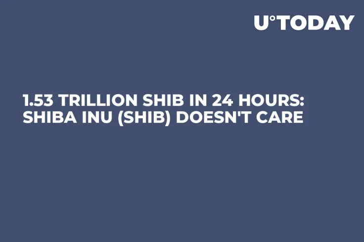 1.53 Trillion SHIB in 24 Hours: Shiba Inu (SHIB) Doesn't Care