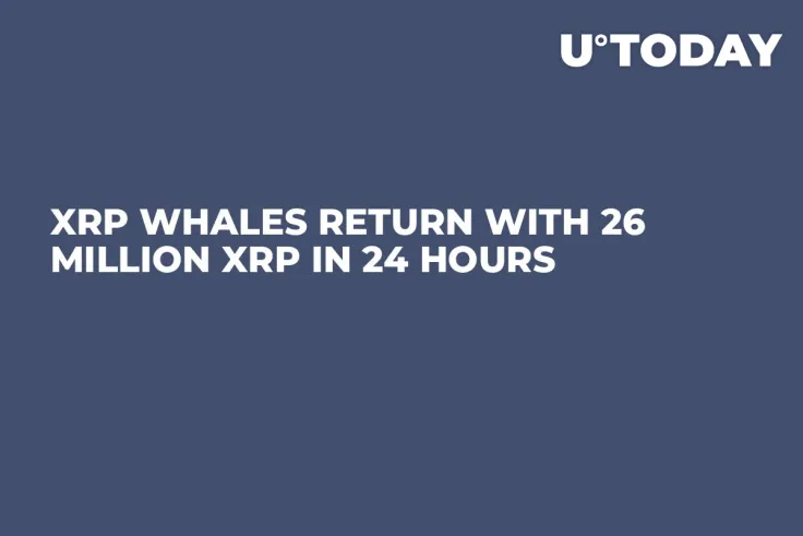 XRP Whales Return With 26 Million XRP in 24 Hours