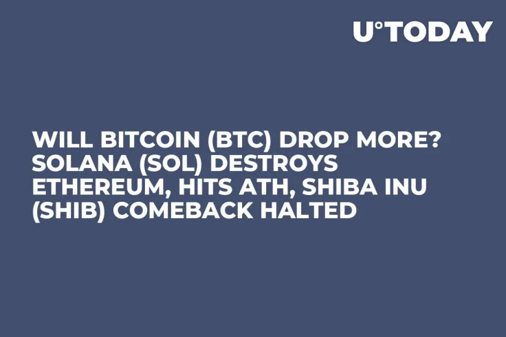 Will Bitcoin (BTC) Drop More? Solana (SOL) Destroys Ethereum, Hits ATH, Shiba Inu (SHIB) Comeback Halted