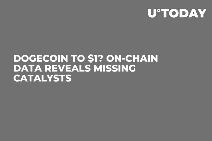 Dogecoin to $1? On-Chain Data Reveals Missing Catalysts